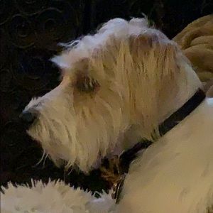 Meet your Posher, Janet